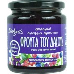 Άλειμμα Φρούτου Φρούτα του Δάσους χωρίς ζάχαρη 320g Βιοαγρός Bio